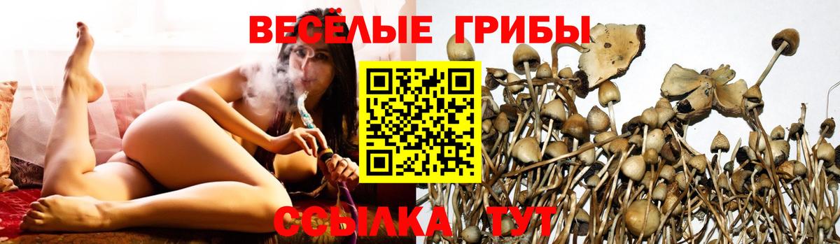 Псилоцибиновые грибы ЛСД  Вход с VPN  Камышлов 
